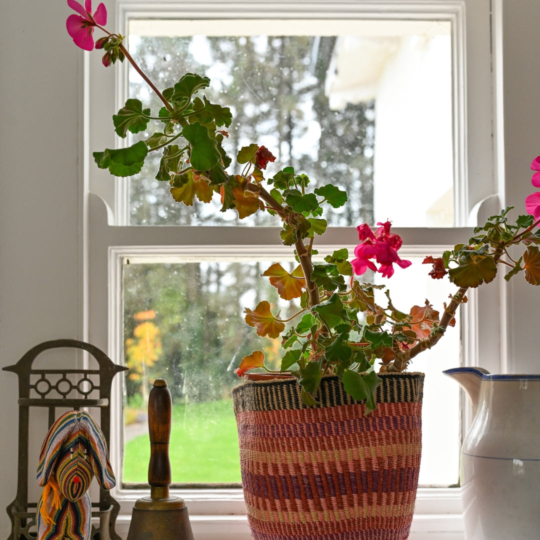 Fineweave Sisal Plant Pot - Exclusively for Tomorrows