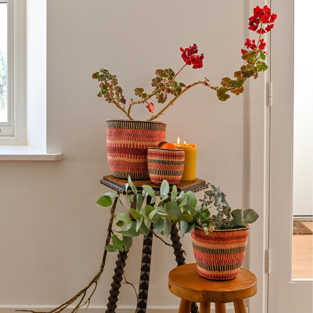 Fineweave Sisal Plant Pot - Exclusively for Tomorrows