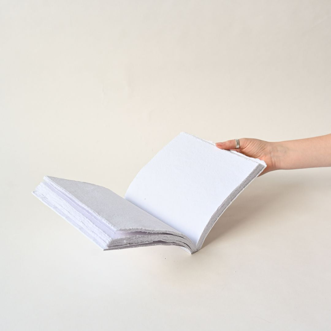Segment Notebook